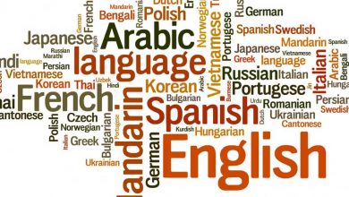 ترجمه افزونه و قالب وردپرس