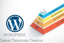 custom taxonomy