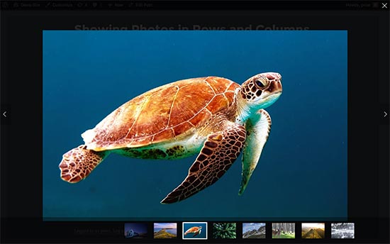نحوه نمایش تصاویر وردپرس در ستونها و ردیفها نحوه نمایش تصاویر وردپرس در ستونها و ردیفها